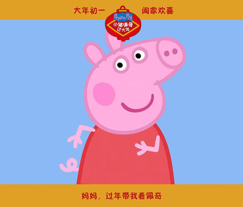 马斯特里赫特戏剧艺术学院金融文凭证书